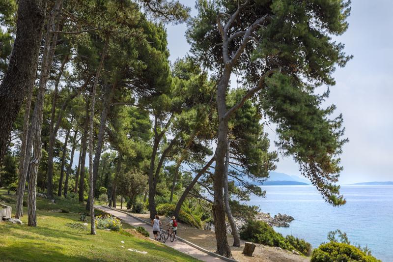 Valamar Carolina Hotel&villas Hotel 4*